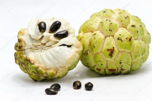 Bé trai bỏng giác mạc do gội đầu bằng nước hạt na