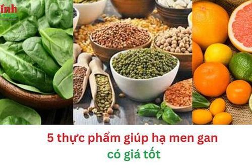 5 thực phẩm giúp hạ men gan có giá tốt