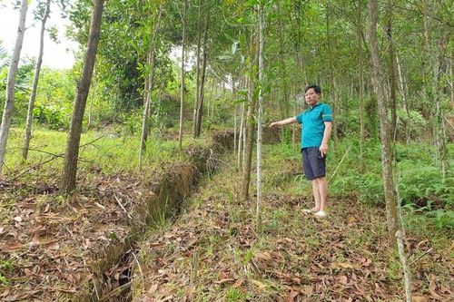 Dự án chống sạt lở chậm triển khai, người dân sống trong lo âu