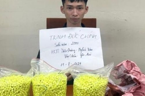 Công an Hà Nội triệt phá đường dây vận chuyển 15.000 viên ma túy