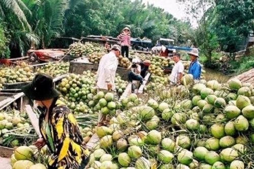 Nông sản Việt Nam rộng đường vào thị trường Trung Quốc
