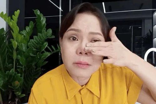 Việt Hương xin lỗi