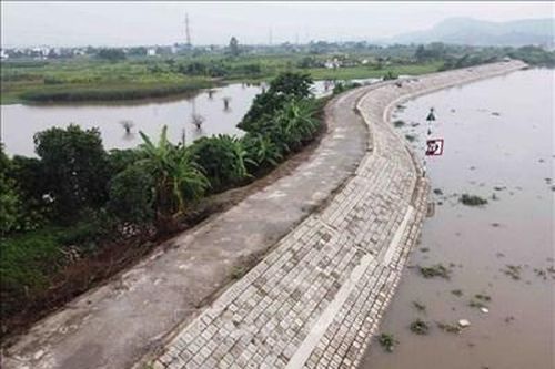 Tăng cường công tác tuần tra canh gác, đảm bảo an toàn đê điều