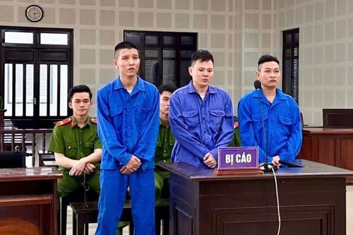 Trả giá đắt vì thói côn đồ