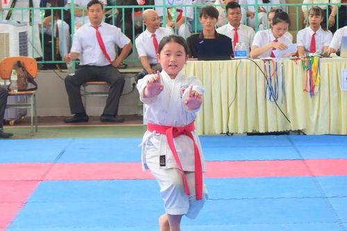 Giải Karate các CLB TP Đà Nẵng năm 2024 thu hút gần 500 VĐV