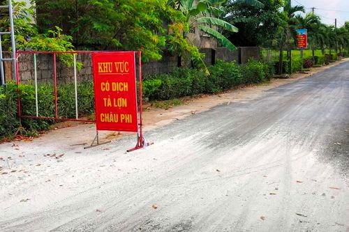Hà Tĩnh: Thêm địa phương xuất hiện dịch tả heo châu Phi