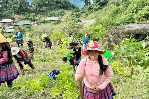 Phục hồi khu bảo tồn thiên nhiên cần hỗ trợ từ chính sách, pháp luật