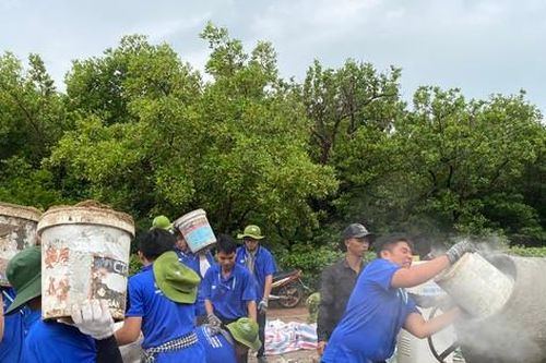 'Ba cùng' đổi thay vùng đất khó - Bài 8: Gieo 'mầm xanh' trên xã đảo