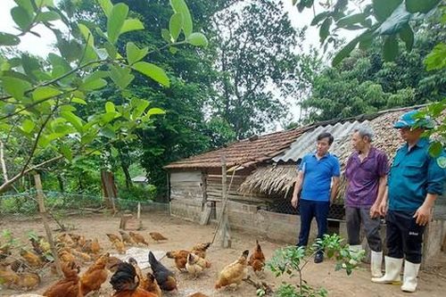 Gà Lạc Sơn, lợn Khùa được bảo tồn nguồn gen