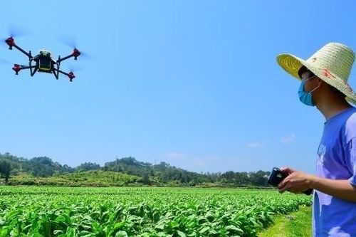 Thượng Hải muốn chuyển đổi vùng ngoại ô thành trang trại tự động không con người