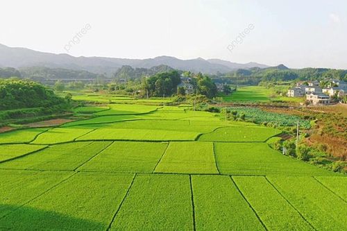 Luật Đất đai 2024 quy định về chuyển mục đích sử dụng đất như thế nào?