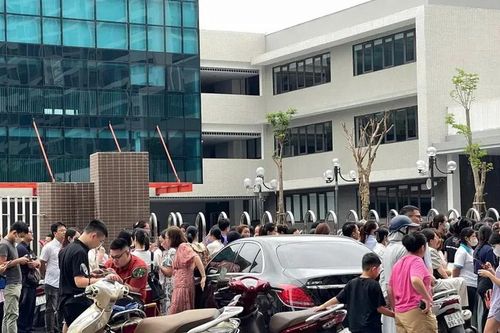 Vụ Trường Tiểu học Tây Mỗ 3: Ngày 26/8 chốt hạn nộp đơn xin chuyển trường