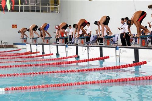 Khai mạc Giải Bơi - Lặn vô địch các Câu lạc bộ Quốc gia năm 2024