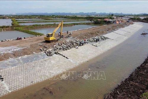 Tăng cường công tác tuần tra canh gác, đảm bảo an toàn đê điều