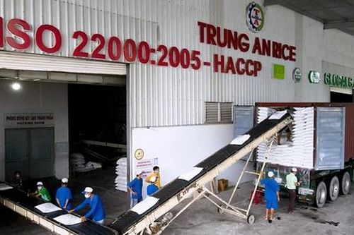Gạo Trung An bị kiểm toán 'lắc đầu', vì đâu nên nỗi?