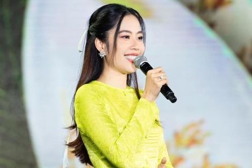 Lý do Nam Em không bán vé đêm nhạc trở lại