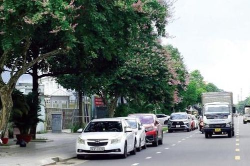 Dọn dẹp 'mạng nhện' cáp viễn thông tại đô thị