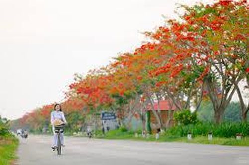 Trang thơ