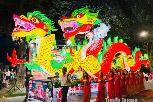 17 mô hình tham gia thi mô hình đèn Trung thu phường Tân Quang