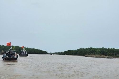 Thái Bình: 12.500ha Khu bảo tồn thiên nhiên đất ngập nước Tiền Hải được giữ nguyên trạng