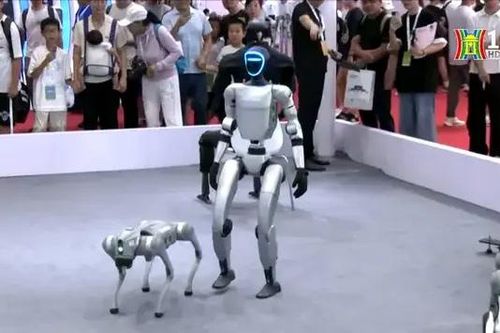 Robot hình người nổi bật tại Hội nghị robot thế giới 2024