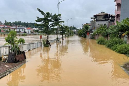 Nước Sông Bằng dâng cao gây ngập nhà cửa và nhiều diện tích hoa màu