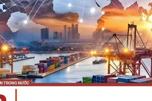 Bị kẻ mạo nhận ' doanh nghiệp xuất khẩu thủy sản lớn và có uy tín tại Pakistan' lừa, một công ty mất 5.000 USD đặt cọc