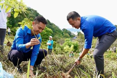 18 nghìn cây bản địa được trồng mới để phục hồi rừng