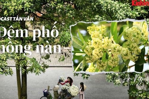 Podcast tản văn: Đêm phố nồng nàn