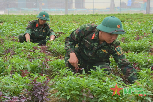 'Thực túc' tại Bộ Chỉ huy Quân sự tỉnh Nghệ An