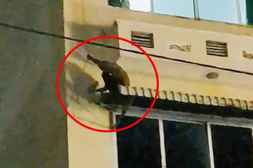 Kẻ trộm xe máy trèo qua cửa sổ khách sạn để trốn công an