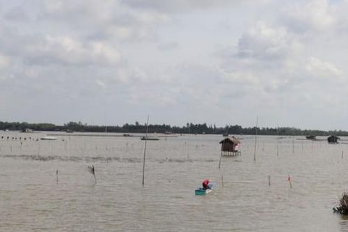 Đề nghị kiểm điểm nguyên Chủ tịch UBND huyện ở Cà Mau