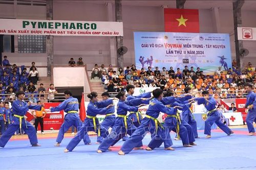 Khai mạc Giải Vô địch Vovinam miền Trung - Tây Nguyên