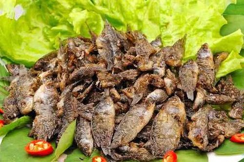 Loại cá xưa đầy ít ai ăn, giờ thành đặc sản được 'săn lùng' nhưng muốn mua không dễ, 100.000 đồng/kg