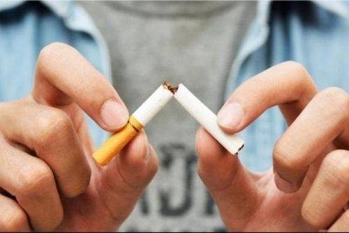 Tác hại khôn lường của thuốc lá đối với sức khỏe và kinh tế