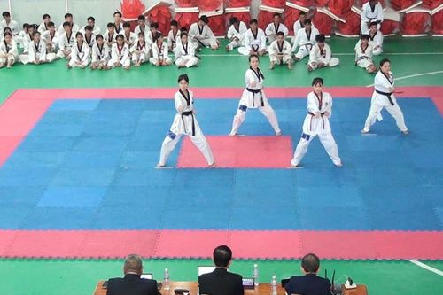 Khai mạc Kỳ thi Thăng đẳng môn Taekwondo tỉnh An Giang
