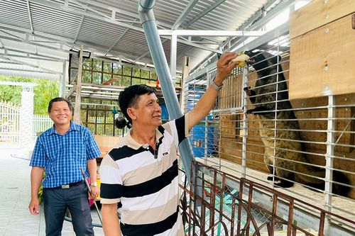 Triển vọng từ mô hình nuôi chồn hương ở Lai Vung