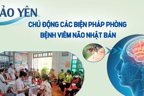 Chủ động các biện pháp phòng bệnh viêm não Nhật Bản