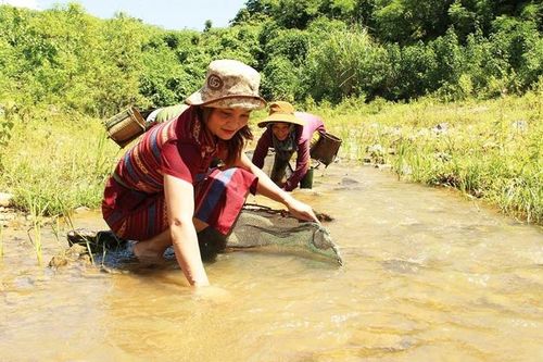 'Săn' cá bống suối