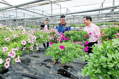 Tăng cường hỗ trợ khu vực kinh tế tập thể tiếp cận vốn