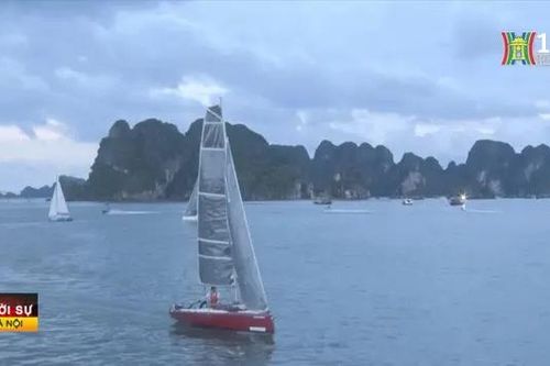 Lễ hội 'Vượt sóng Hạ Long - 2024'