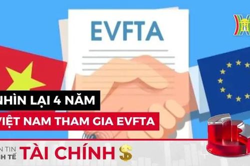 Bản tin Kinh tế Tài chính | 25/08/2024