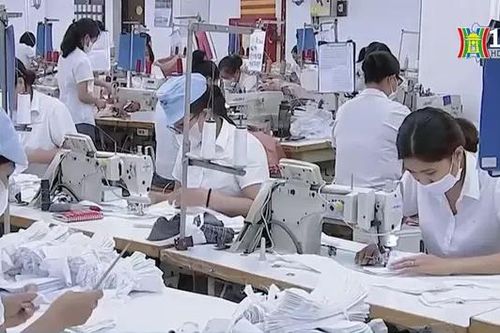 Nhìn lại 4 năm Việt Nam tham gia EVFTA