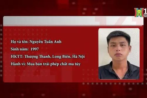 Bắt giữ đối tượng mua bán trái phép chất ma túy