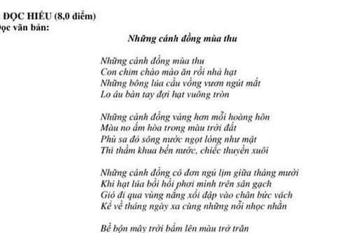 Bài thơ 'Những cánh đồng mùa thu' vào đề thi học sinh giỏi Ngữ văn 11