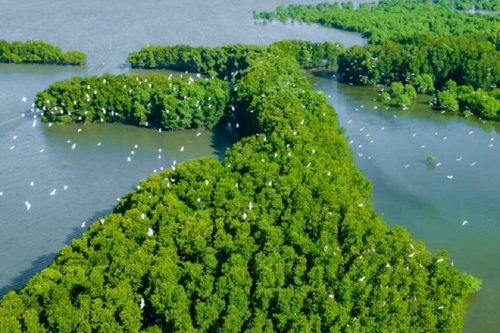 Đến Bình Định khám phá đầm Thị Nại