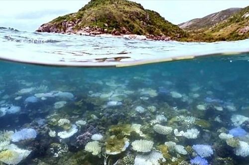 Australia cứu kỳ quan thiên nhiên
