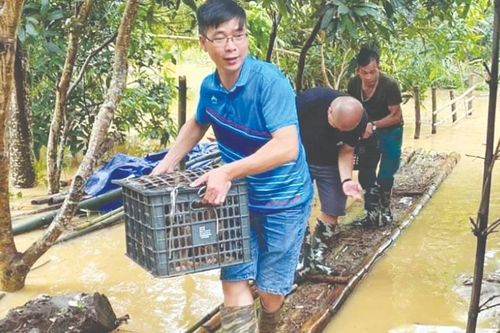 Miền Bắc: Nhiều nơi bị sạt lở, ngập nước