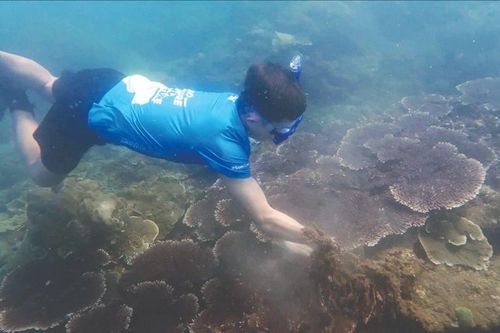 'Biệt đội' SUP vớt rác