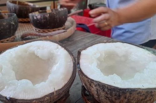 Loại dừa đắt nhất Việt Nam giá bao nhiêu?